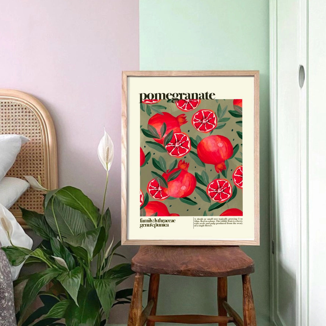 Pomegranate Fruit, Botanical Print A3