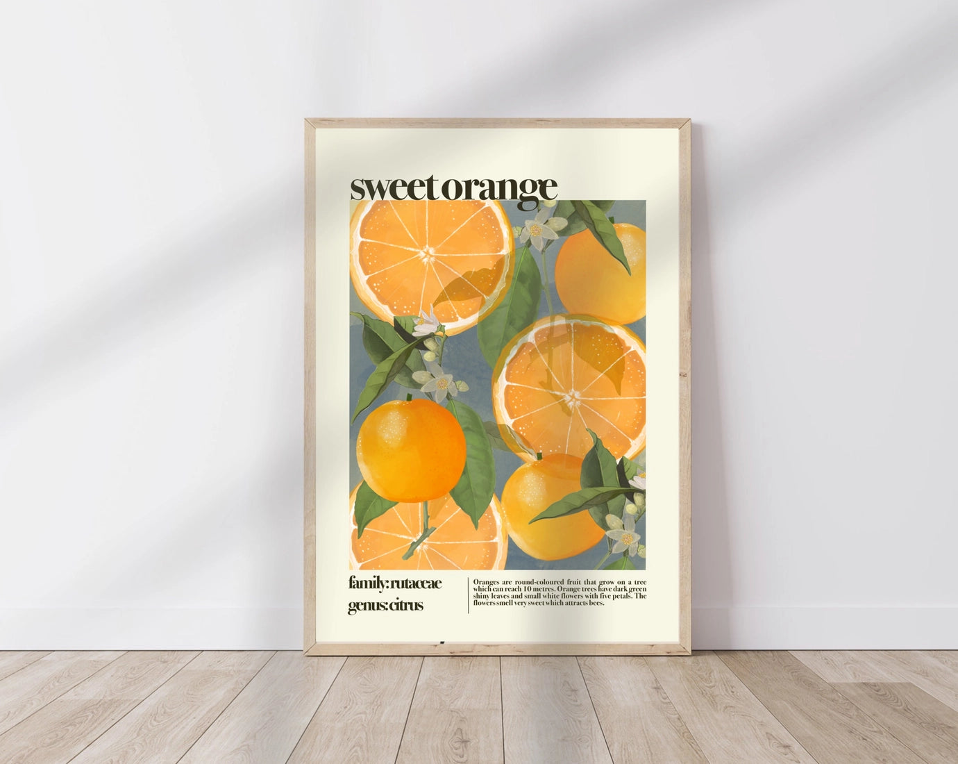 Sweet Orange, Botanical Print A3