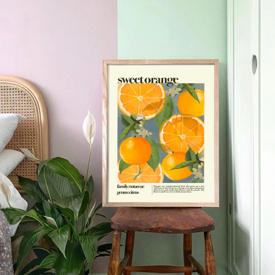 Sweet Orange, Botanical Print A3